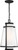 Anau One Light Hanging Lantern (60-6604)