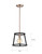 Chassis One Light Mini Pendant (60-6641)