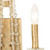 Barcelona Two Light Wall Sconce (270W02BK)