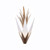 Varaluz - 562W02HG - Two Light Wall Sconce - Mojave - Havana Gold