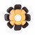 Varaluz - 567W01DBFG - One Light Wall or Flush Mount - Botanic Panic - Dark Bronze / French Gold