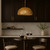 Urchin One Light Pendant (569P01GO)