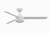 Xeno Wet 56"Ceiling Fan (FP6729BMWW)