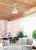 Xeno Wet 56"Ceiling Fan (FP6729BMWW)