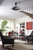 Gleam 16"Ceiling Fan (FP8404BL)