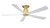 Kute5 52 52" Ceiling Fan (FPD5534BS)