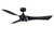 Fanimation - FPD6858BL - 56Ceiling Fan - Klear - Black