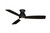 Hugh 52 52"Ceiling Fan (FPS8355BDZW)