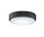 Fanimation - LK7912BGR - One Light Fan Light Kit - Levon Custom - Matte Greige