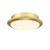 Fanimation - LK8530BS - LED Fan Light Kit - Wrap Custom - Brushed Satin Brass