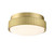Fanimation - LK8561BS - LED Light Kit - Kute 60 - Brushed Satin Brass