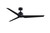Fanimation - MAD8515BLW - Motor - TriAire Custom - Black