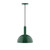 manufacturer_finish:Forest Green|manufacturer_glass:12 inch Ray|light_source:LED|light_output:800.00lm|color_temperature:3000K|cri:90
