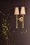 Cadiz Two Light Wall Sconce (570-02-VB)