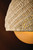 Piasu One Light Wall Sconce (576-01-CPL)