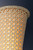 West Park LED Wall Sconce (5141-SWH)