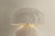 Leetown Two Light Table Lamp (L3732-AGB/CIK)