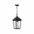 Lighting One E - V1-28202MB - LED Hanging Lantern - Otto - Museum Black