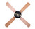 Neptune 42" Ceiling Fan (CF42NEP4ORB)