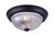 Canarm - IFM213MBK-RGC - Two Light Flush Mount - Ifm213Mbk-Rgc - Matte Black
