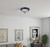 Ifm213Mbk-Rgc Two Light Flush Mount (IFM213MBK-RGC)