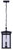 Rossland Two Light Outdoor Pendant (IOL769BK)