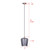Leandro One Light Pendant (IPL1249A01GD-SR)