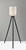 Kinsley Floor Lamp (1630-01)
