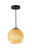 Adesso Home - 3786-01 - Pendant - Nolan - Black