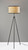 Raven Floor Lamp (3954-01)