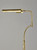 Zane LED Floor Lamp (3958-21)