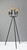 Rory Six Light Floor Lamp (6199-01)