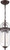 Nuvo Lighting - 60-6922 - Two Light Pendant - Fathom - Mahogany Bronze / Clear Glass