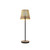 Accord Lighting - 7092.48 - One Light Table Lamp - Living Hinges - Organic Cappuccino