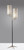 Davis Two Light Floor Lamp (3474-01)