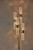 Harriet LED Floor Lamp (3698-21)