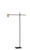 Collette LED Floor Lamp (4218-01)