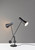 Bond Two Light Desk Lamp (AD9114-01)