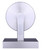 Britton One Light Vanity (IVL1234A01BN)