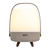 Lite Up Play LED Speaker Lamp (1201-15)