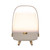 Lite Up Play Mini LED Speaker Lamp (1202-12)