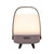 Lite Up Play Mini LED Speaker Lamp (1202-15)