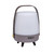 Lite Up Play Mini LED Speaker Lamp (1202-15)