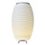 Synergy LED Speaker Lamp (1208-02)