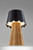 Tory LED Table Lamp (3165-01)