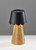 Tory LED Table Lamp (3165-01)