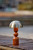 Connie LED Table Lamp (3178-15)