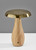 Naya LED Table Lamp (3196-12)