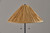 Waylon Two Light Floor Lamp (3246-01)