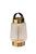 Adesso Home - 3336-21 - LED Table Lamp - Samara - Clear Texture Glass Antique Brass Brown Leather